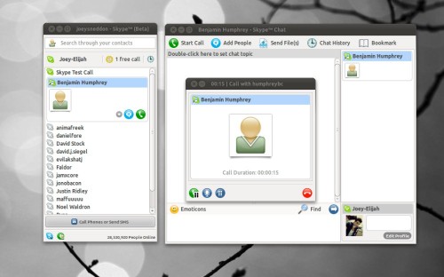 File:Skype linux.jpg