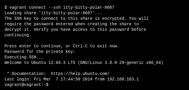 File:Running vagrant connect ssh.jpg