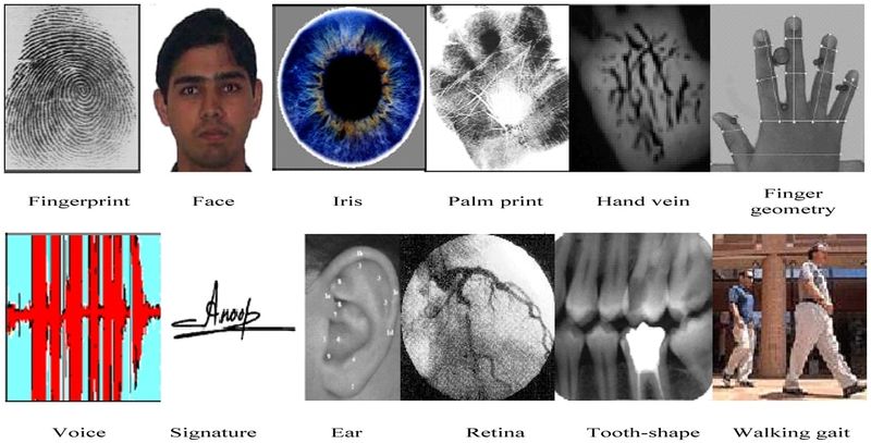 File:Biometric-Sensors.jpg