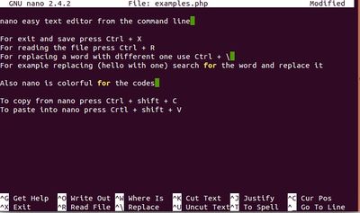 nano text editor example