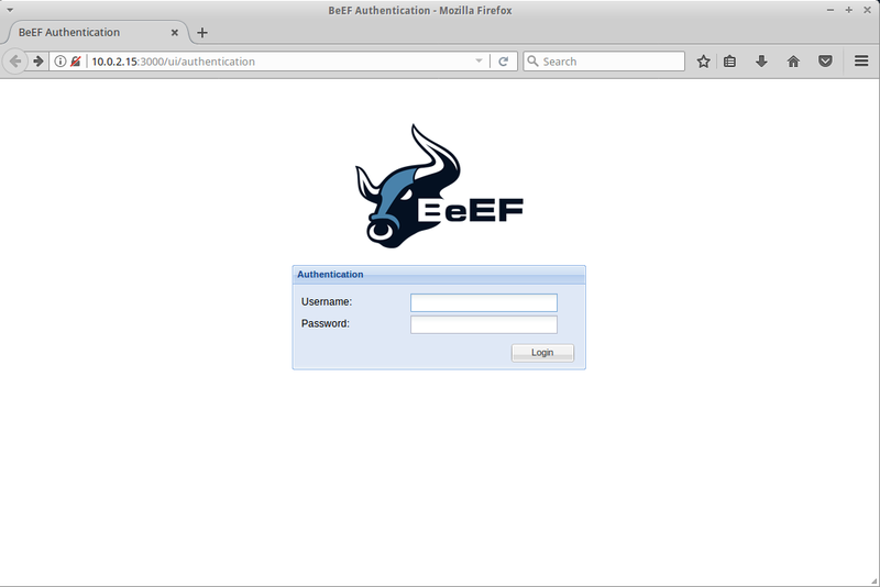 File:BeEF Auth Page.png