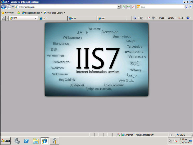 File:IIS13.jpg