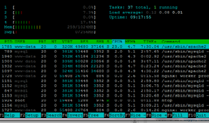 Screenshot of htop in action